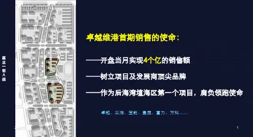 中原地产深圳卓越维港豪宅开盘经验分享报告