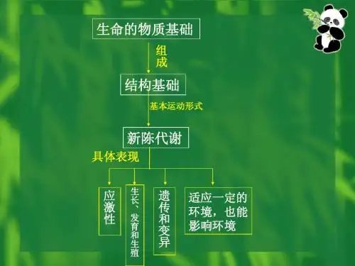 生命的物质基础高三生物 复习课件 人教版