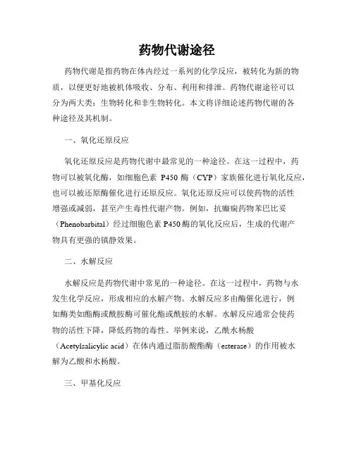 药物代谢途径