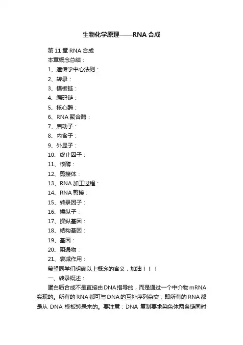 生物化学原理——RNA合成