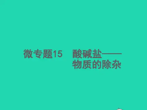中考化学微专题15酸碱盐__物质的除杂精讲本课件