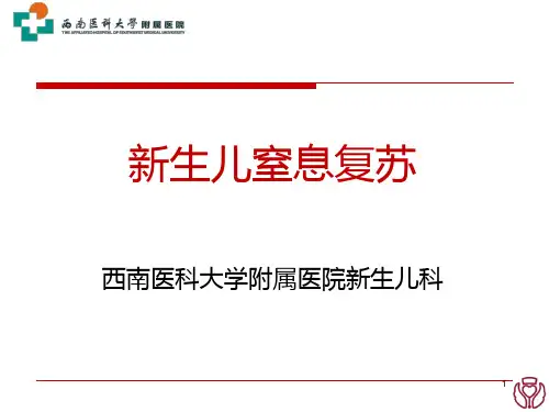 新生儿复苏PPT课件