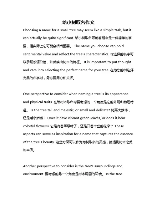 给小树取名作文