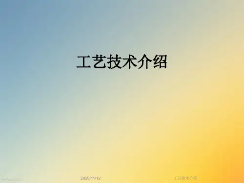 工艺技术介绍