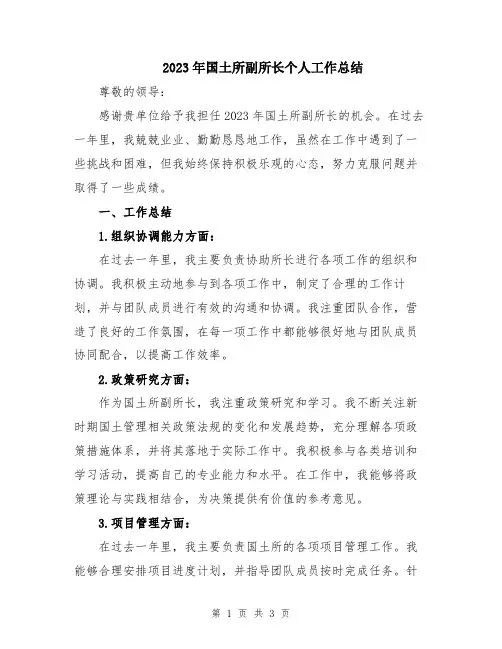 2023年国土所副所长个人工作总结
