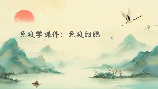 免疫学课件：免疫细胞PPT课件