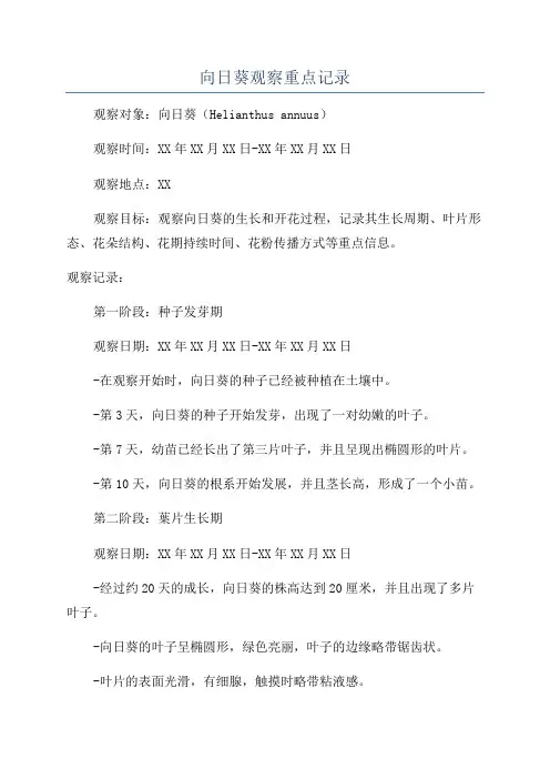 向日葵观察重点记录