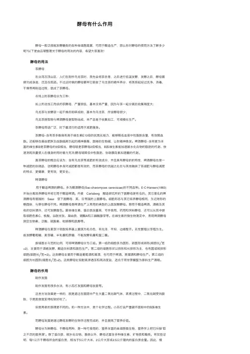 酵母有什么作用