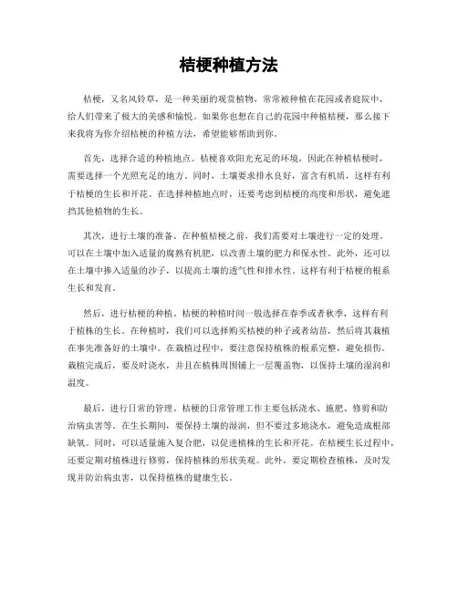 桔梗种植方法