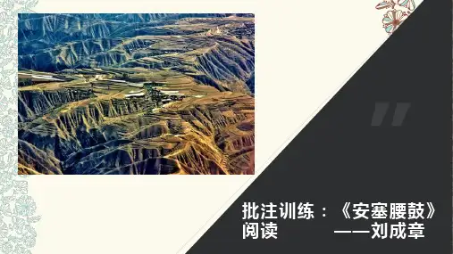 第3课《安塞腰鼓》课件(共17页)2021-2022学年部编版语文八年级下册