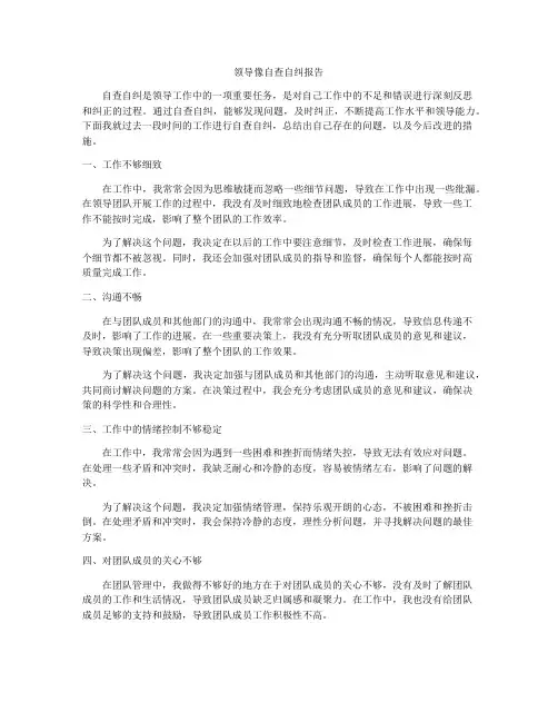 领导像自查自纠报告