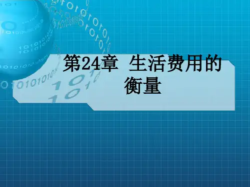 生活费用的衡量 (2)
