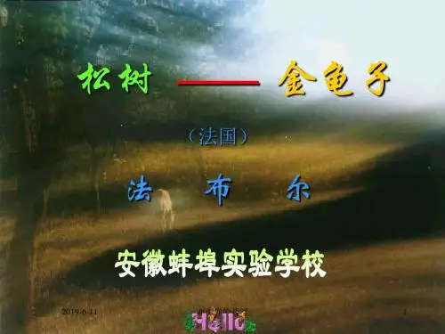 (苏教版)《松树金龟子》课件