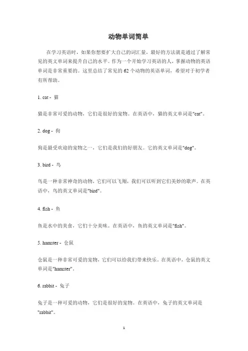 动物单词简单