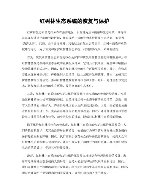 红树林生态系统的恢复与保护