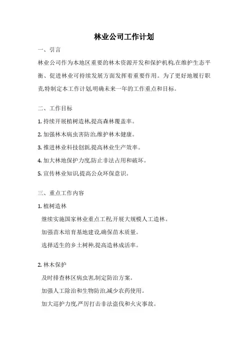 林业公司工作计划