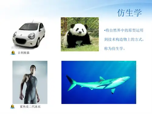仿生家具设计ppt课件