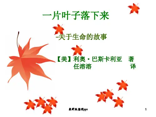 一片叶子落下来ppt课件