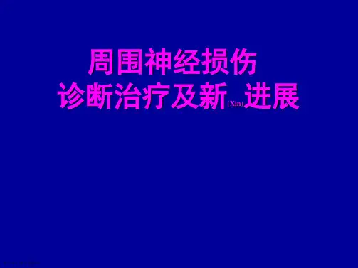 周围神经损伤及诊断及治疗必学课件ppt