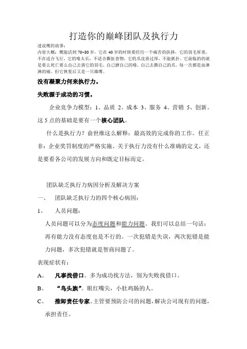 打造你的巅峰团队及执行力.doc