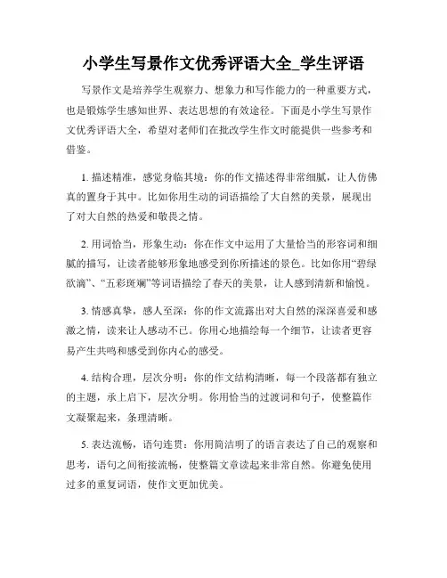 小学生写景作文优秀评语大全_学生评语