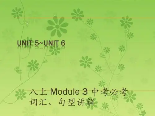 【中考宝典】2016中考英语(深圳地区)复习(课本梳理)课件：11八上Unit 5~Unit6(PPT)