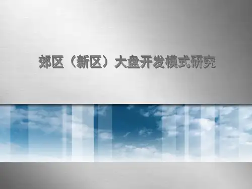 郊区新城大盘开发模式研究ppt课件