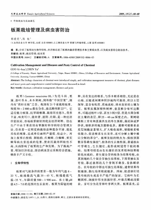 板栗栽培管理及病虫害防治