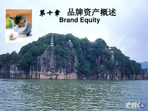 品牌资产概述第十三讲ppt课件