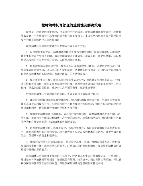桉树幼林抚育管理的重要性及解决策略