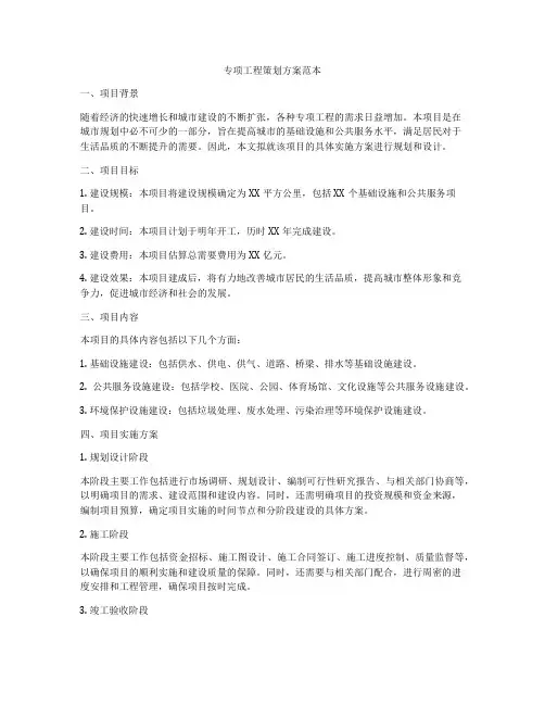 专项工程策划方案范本