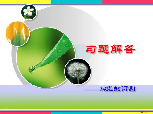14光的衍射习题解答