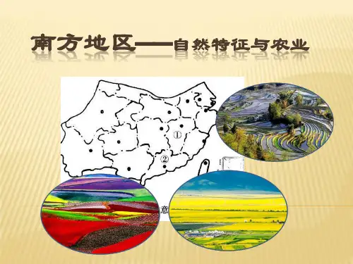 南方地区——自然特征与农业课件