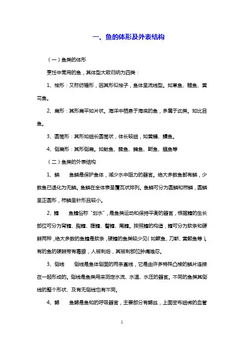 【推荐】鱼的体形及外表结构