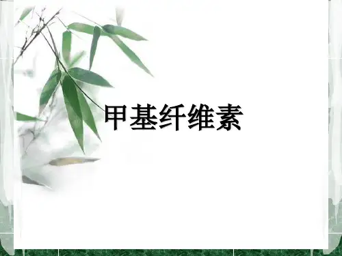 甲基纤维素.