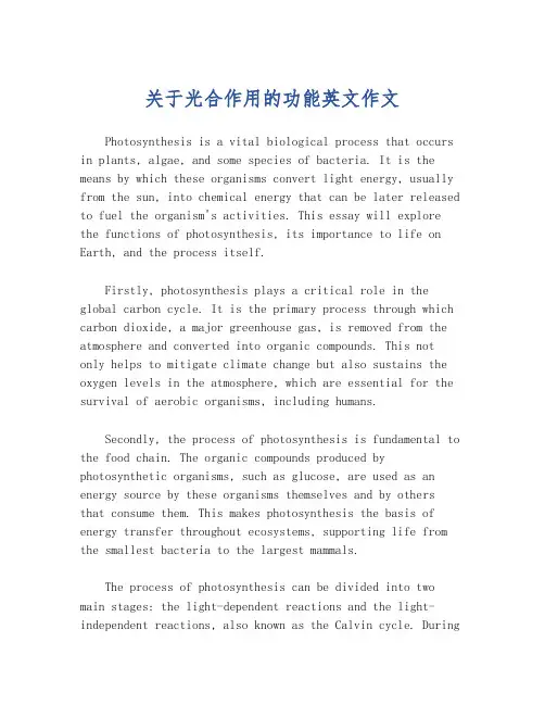 关于光合作用的功能英文作文