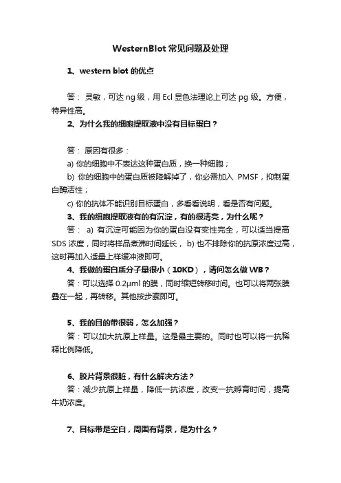 WesternBlot常见问题及处理