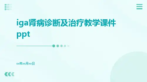 IgA肾病诊断及治疗教学课件ppt