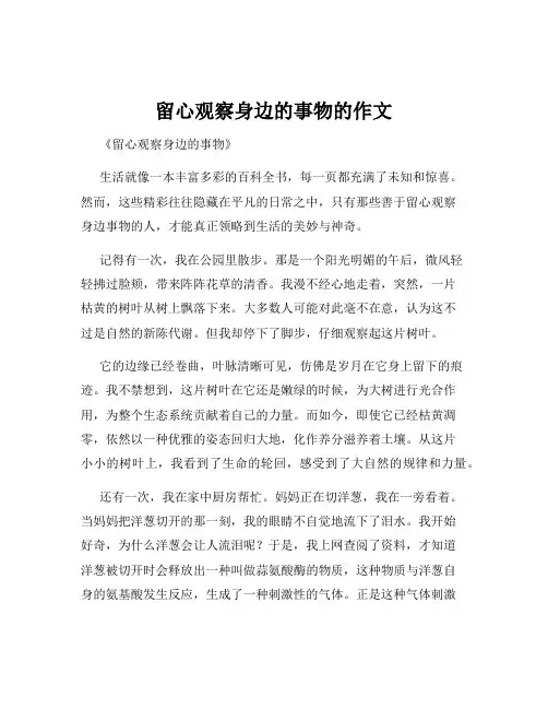 留心观察身边的事物的作文
