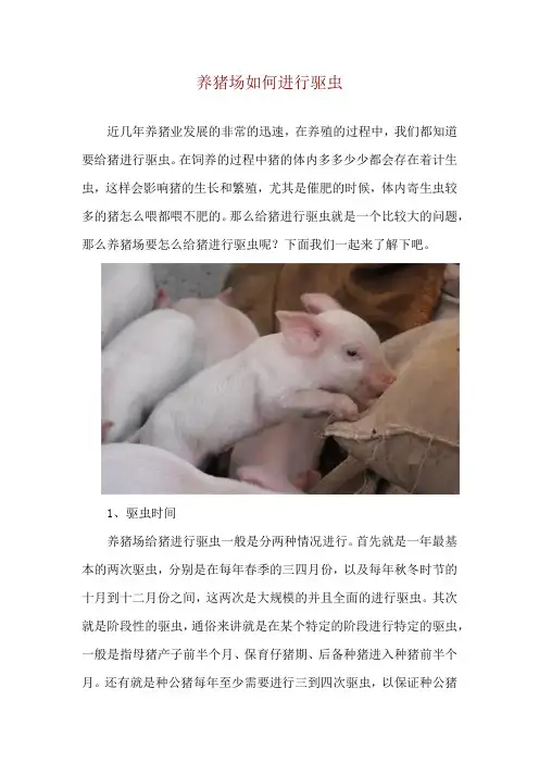 养猪场如何进行驱虫