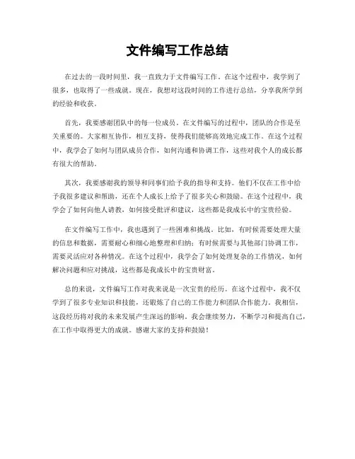 文件编写工作总结