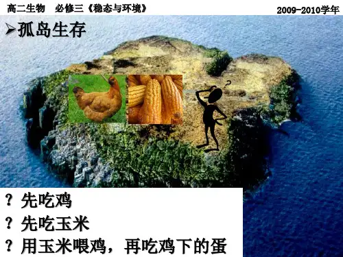 生态系统的能量流动说课稿公开课一等奖课件省赛课获奖课件