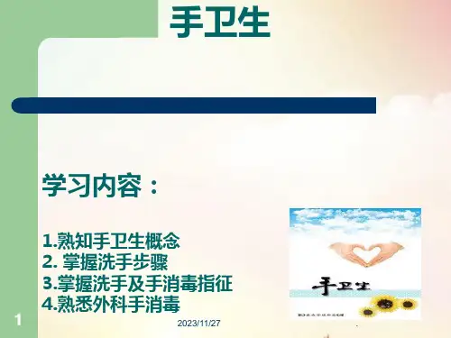 院感培训手卫生PPT课件