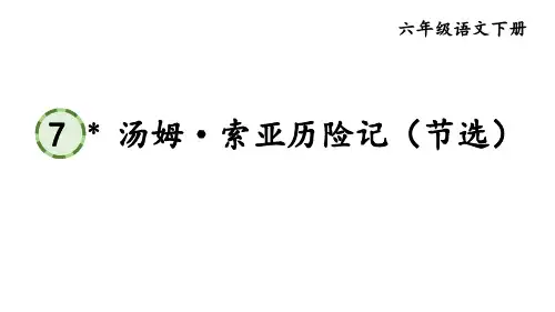 中小幼7 汤姆·索亚历险记公开课教案教学设计课件【一等奖】