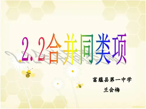 人教部初一七年级数学上册 合并同类项 名师教学PPT课件 (4)