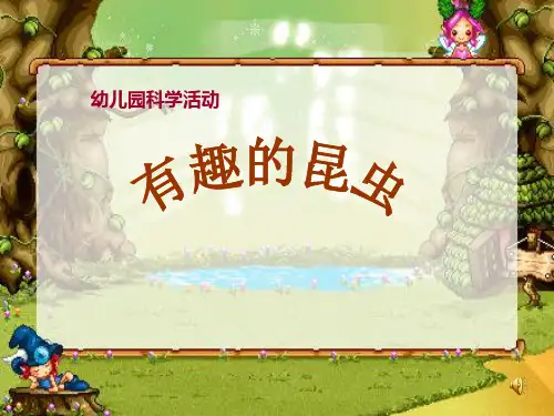 有趣的昆虫(幼儿园PPT课件)