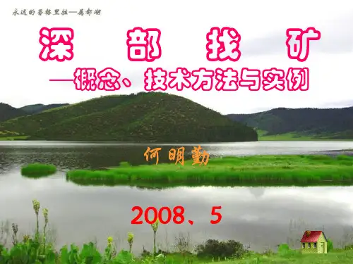 深部找矿-概念、技术与实例