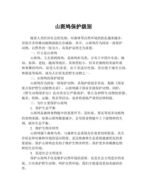 山斑鸠保护级别