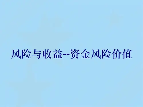 风险与收益--资金风险价值