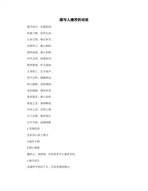 描写人痛苦的词语